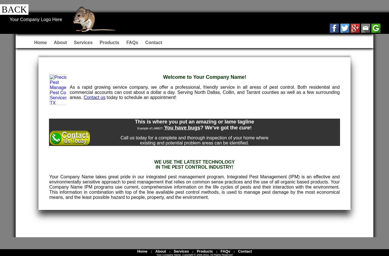 Homepage screenshot of the pest control website